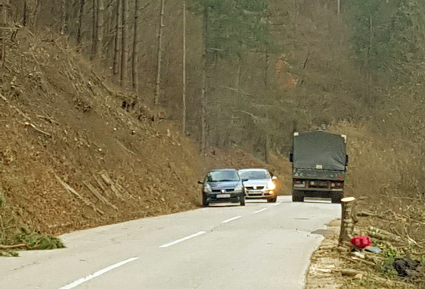 A 808